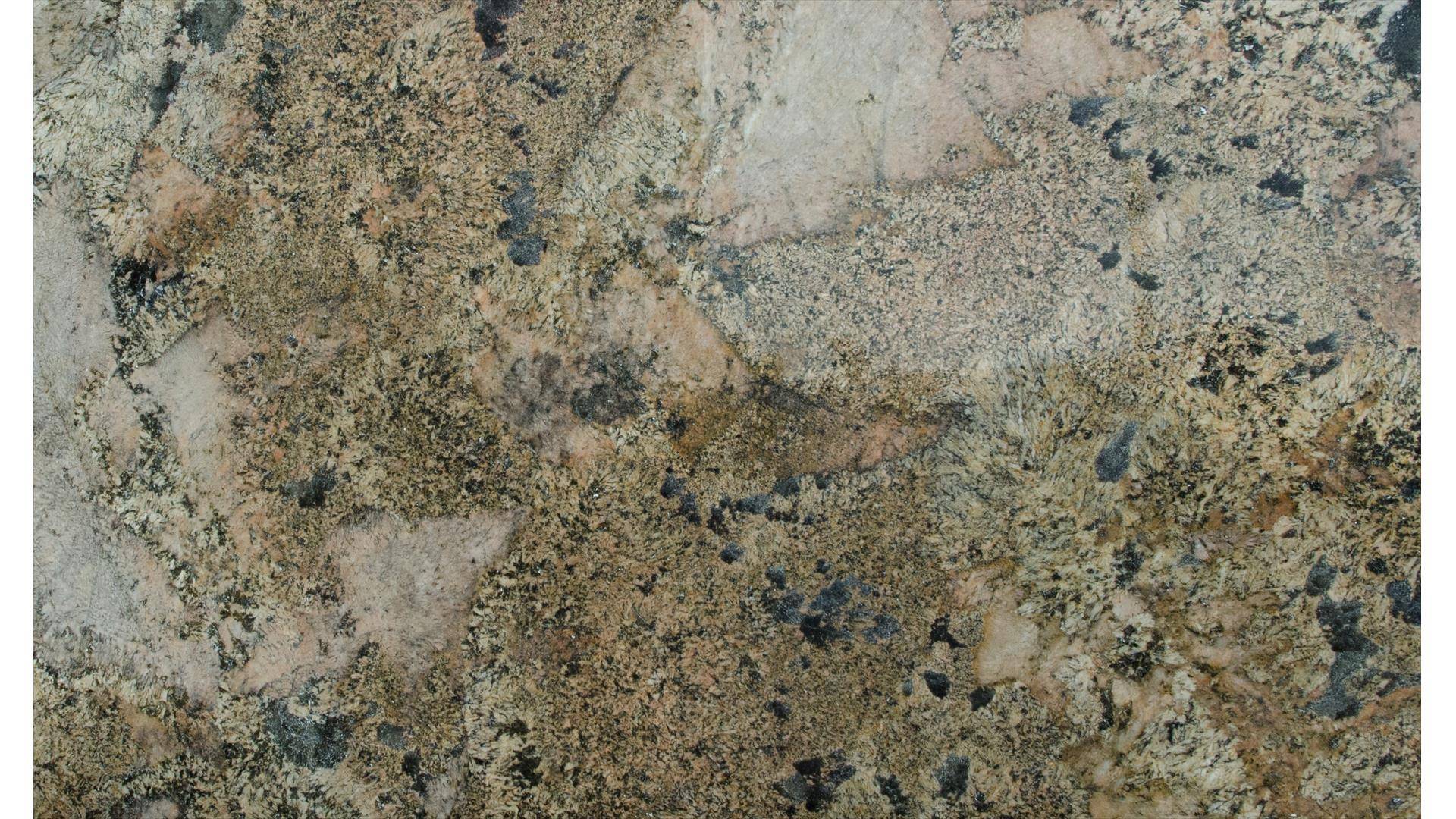 Granit ANTICO BORDEAUX